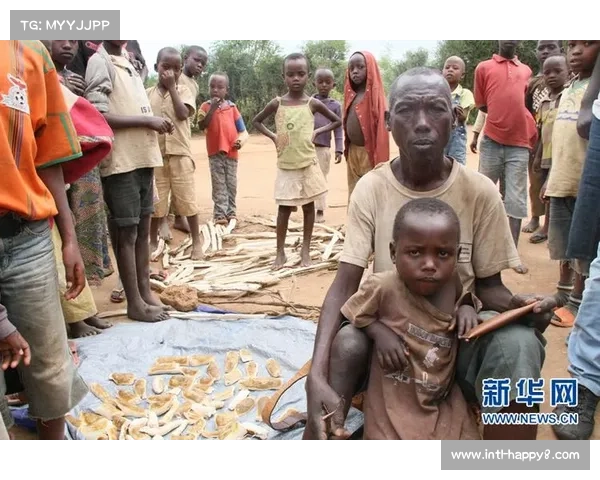 跆拳道人道主义基金会庆祝十周年，在卢旺达难民社区开展可持续项目